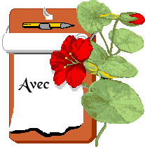 Gif animé amour plus belle